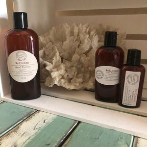 Just in Awesome WELLNESS Hand Purifier Trio